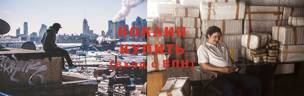мдпв Елабуга