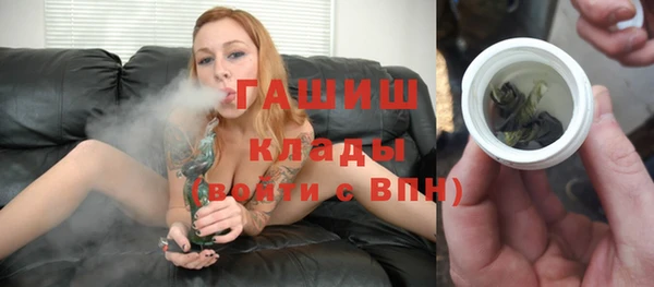 мдпв Елабуга