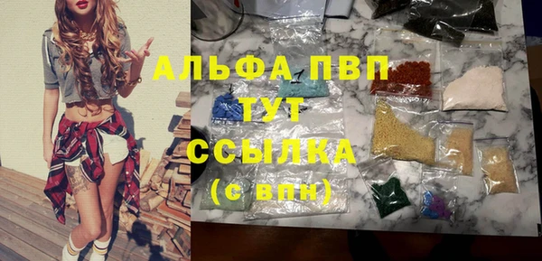 мдпв Елабуга