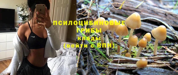 мдпв Елабуга