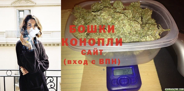 мдпв Елабуга