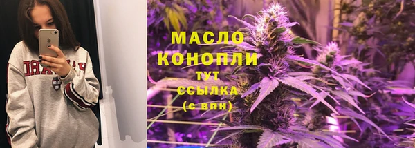 мдпв Елабуга