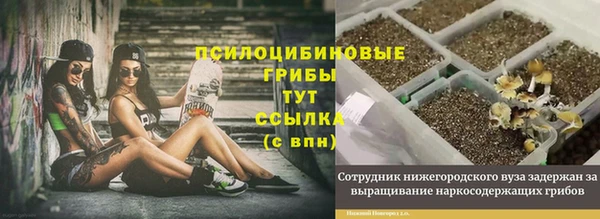 круглые Елизово