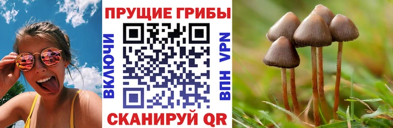 Галлюциногенные грибы прущие грибы  Купить  Корсаков 